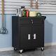 2 Door Tool Chest Cabinet Large Drawer Roller Wheels Tools Holder Cart Warehouse