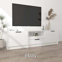 Grand meuble de télévision en bois rectangulaire avec unité de rangement, 2 portes et 1 tiroir.